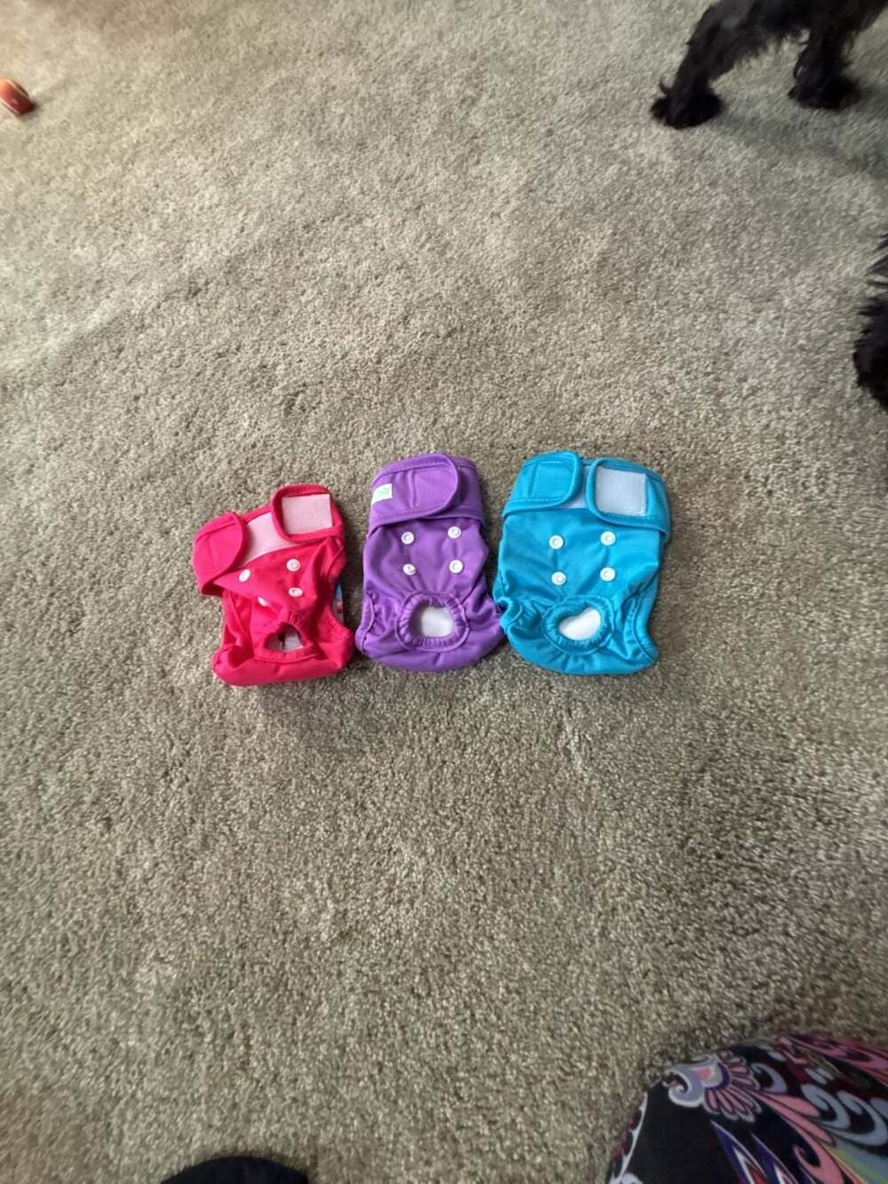 Wegreeco Washable Female Dog Diapers, Reusable Puppy Wraps (3-Pack), Small